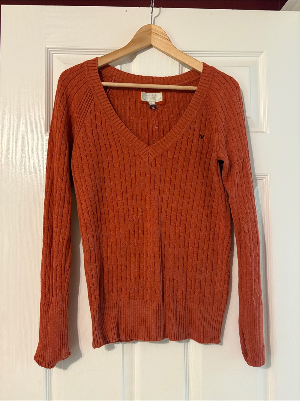 American Eagle Outfitters Rust Cable V-Neck Sweater